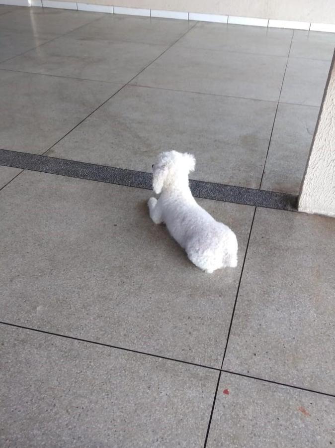 Pousada Da Orla ซาลิโนโปลิส ภายนอก รูปภาพ